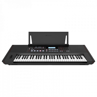 Синтезатор с автоаккомпанементом Roland E-X50